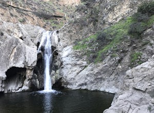 Paradise Falls Loop