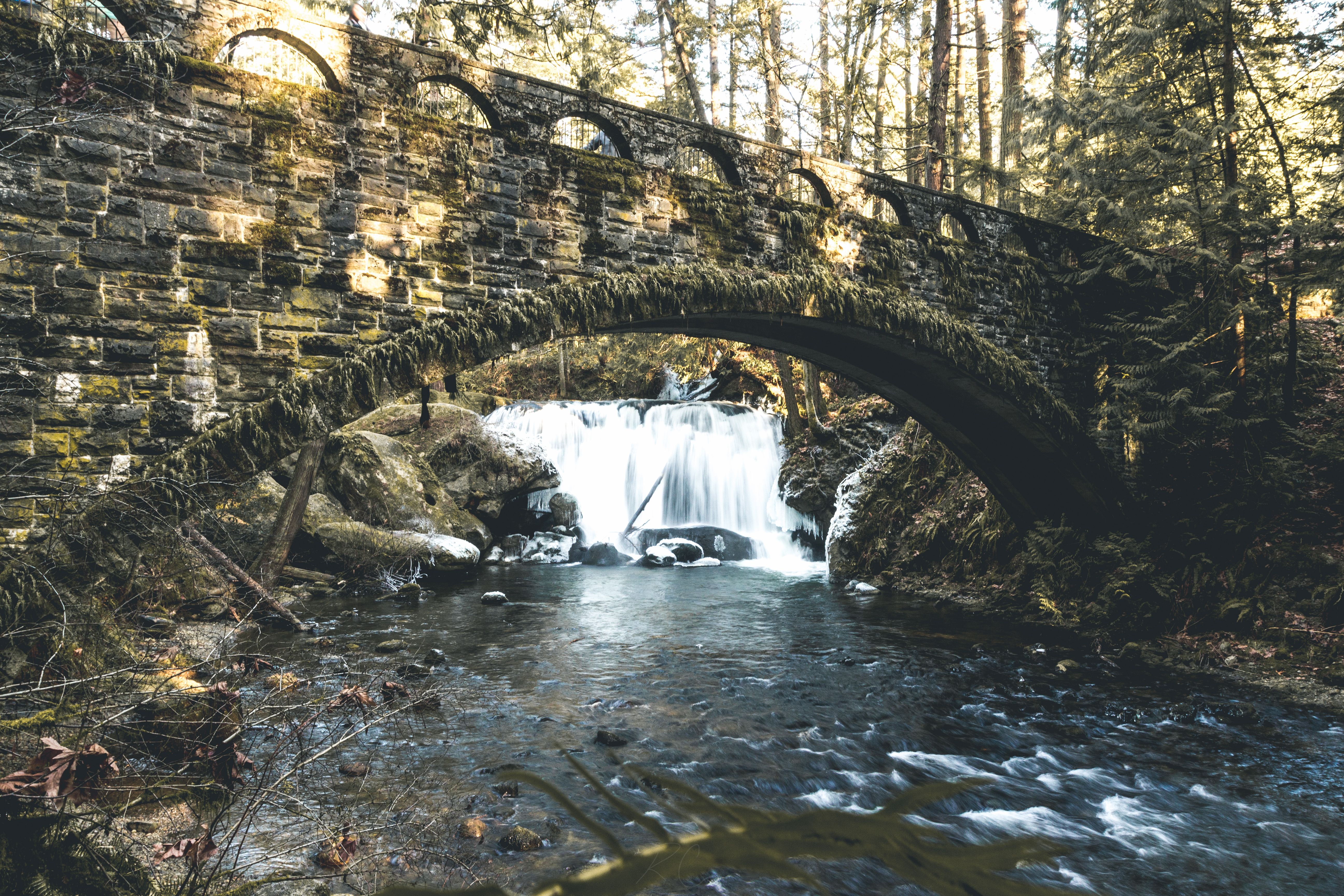 Whatcom Falls