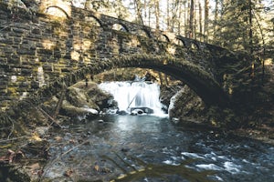 Photograph Whatcom Falls