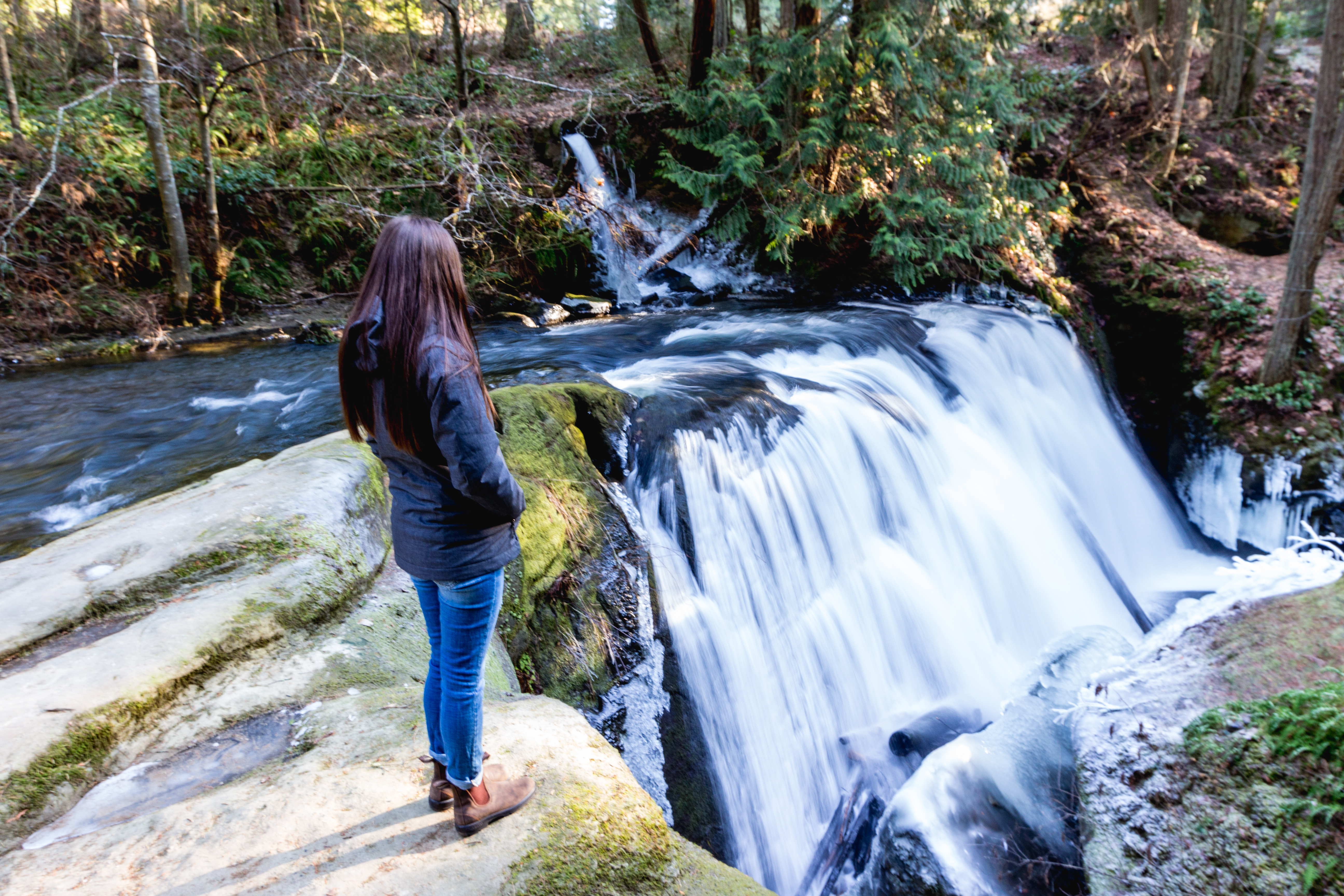 Whatcom Falls