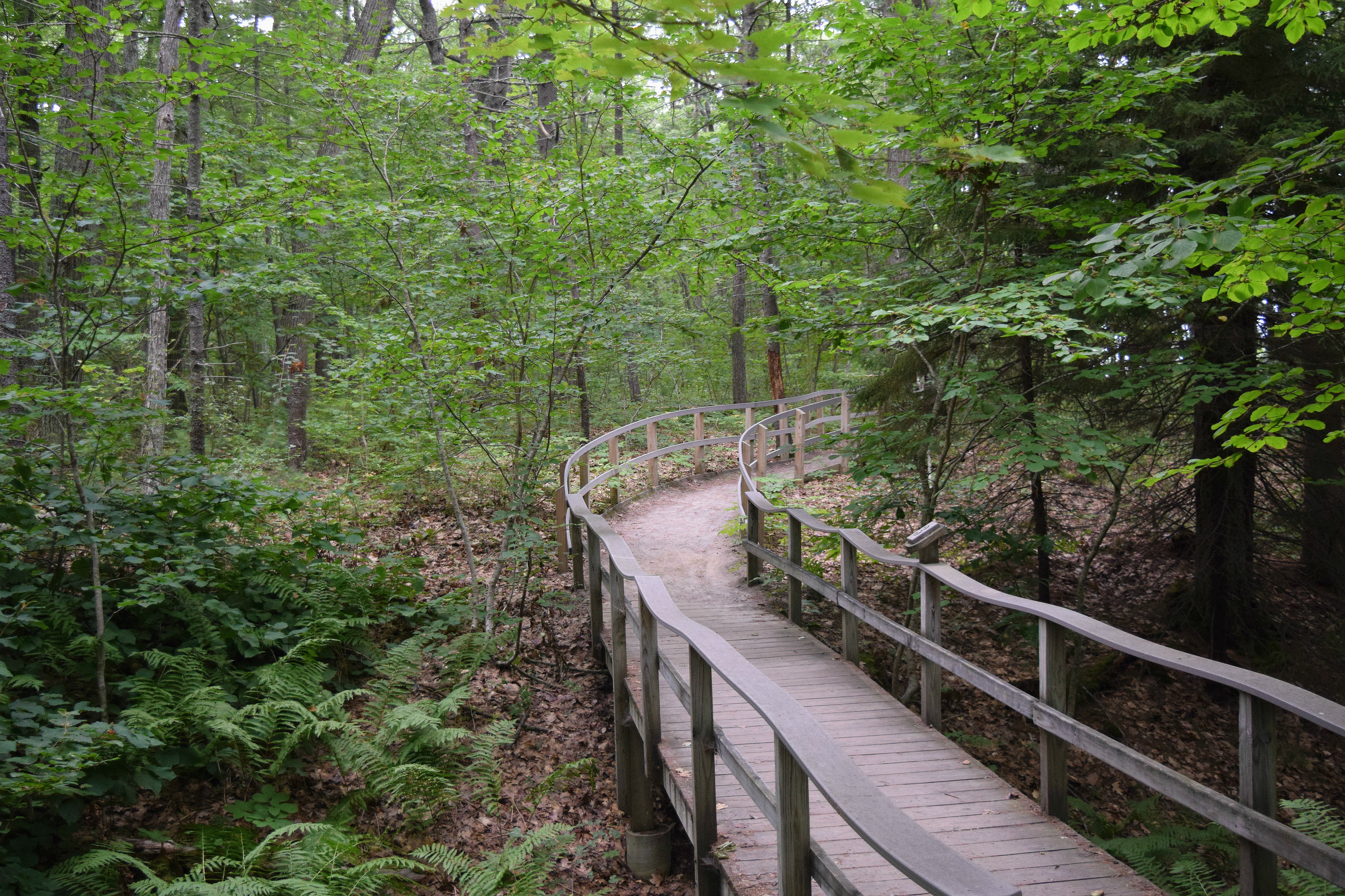 Hike the Carson Trail in Rachel Carson National Wildlife Refuge
