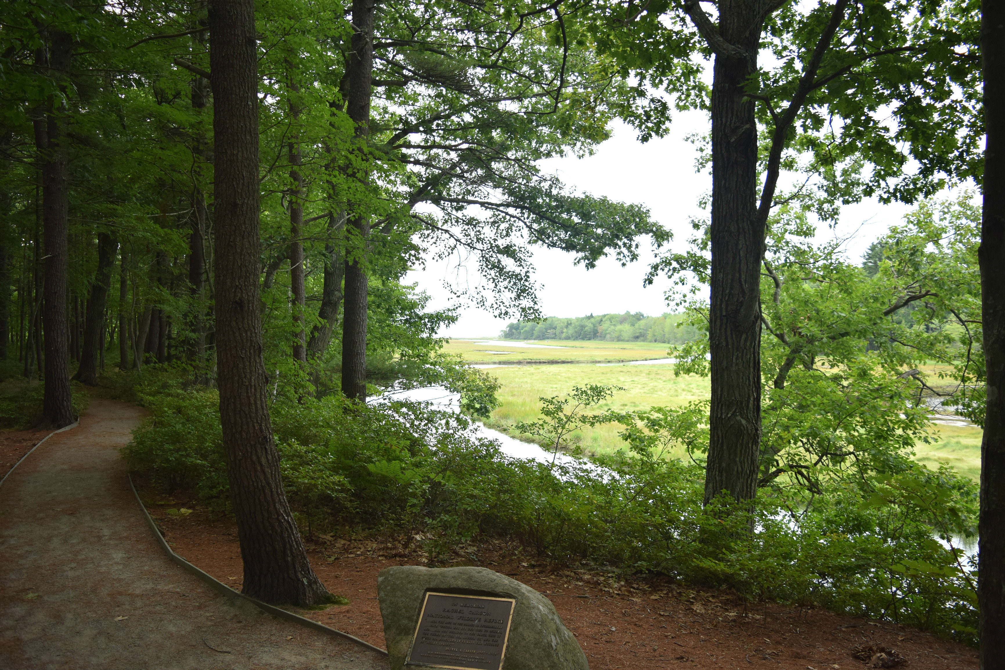Hike the Carson Trail in Rachel Carson National Wildlife Refuge