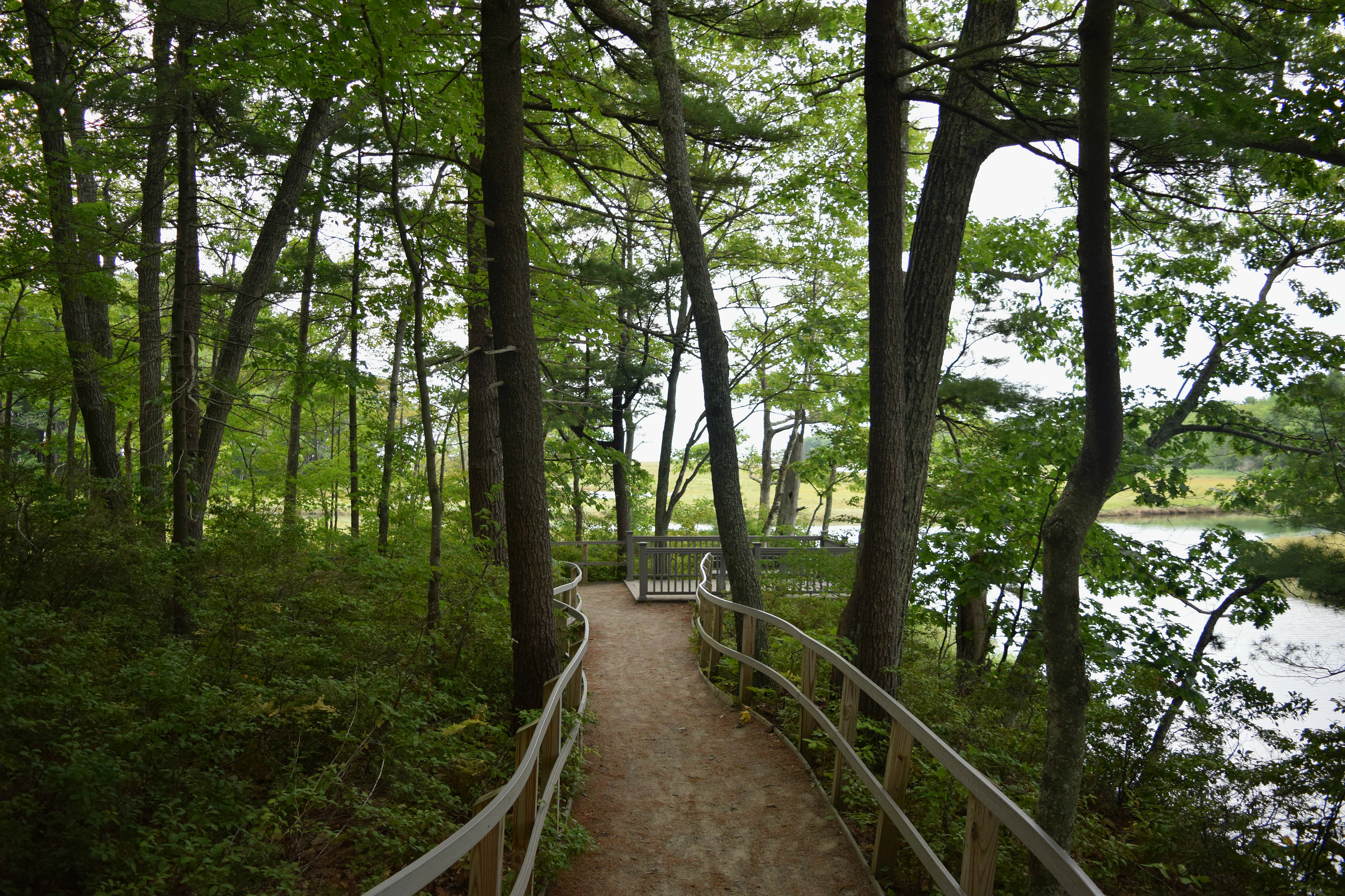 Hike the Carson Trail in Rachel Carson National Wildlife Refuge