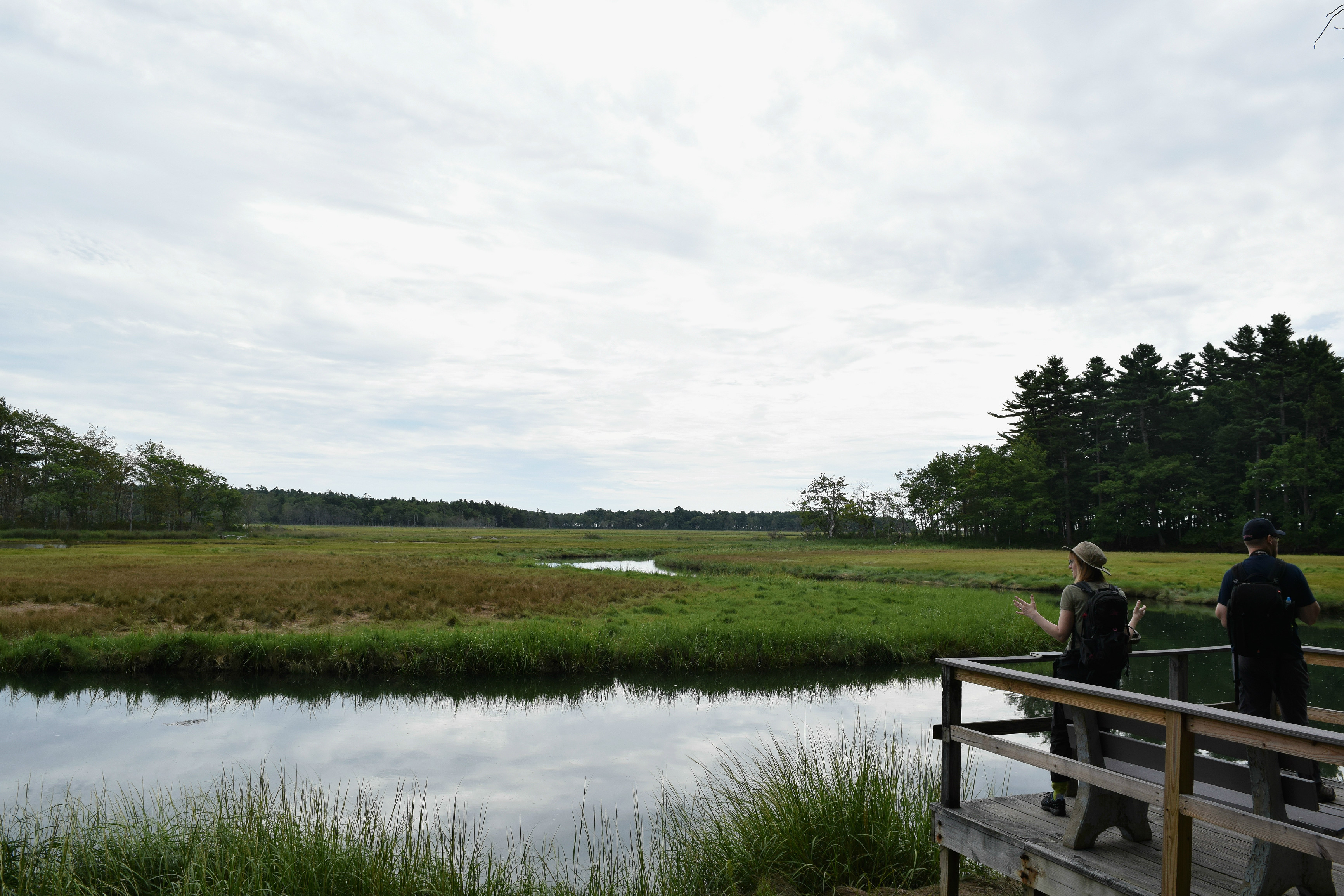 Hike the Carson Trail in Rachel Carson National Wildlife Refuge