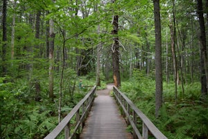 Hike the Carson Trail in Rachel Carson National Wildlife Refuge