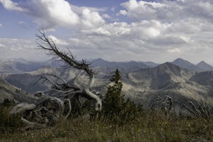 Hike to Avalanche Peak