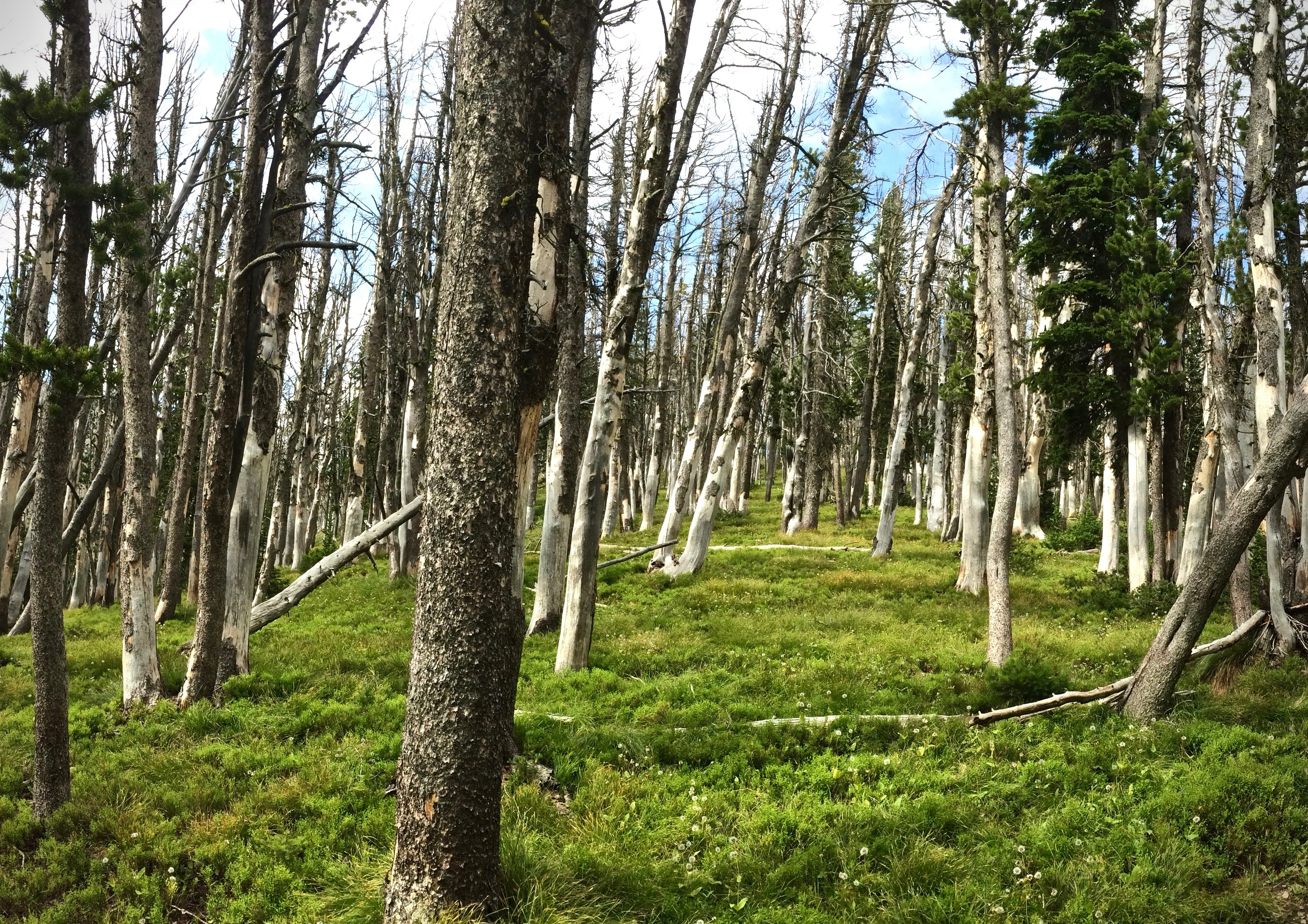 Hike to Avalanche Peak
