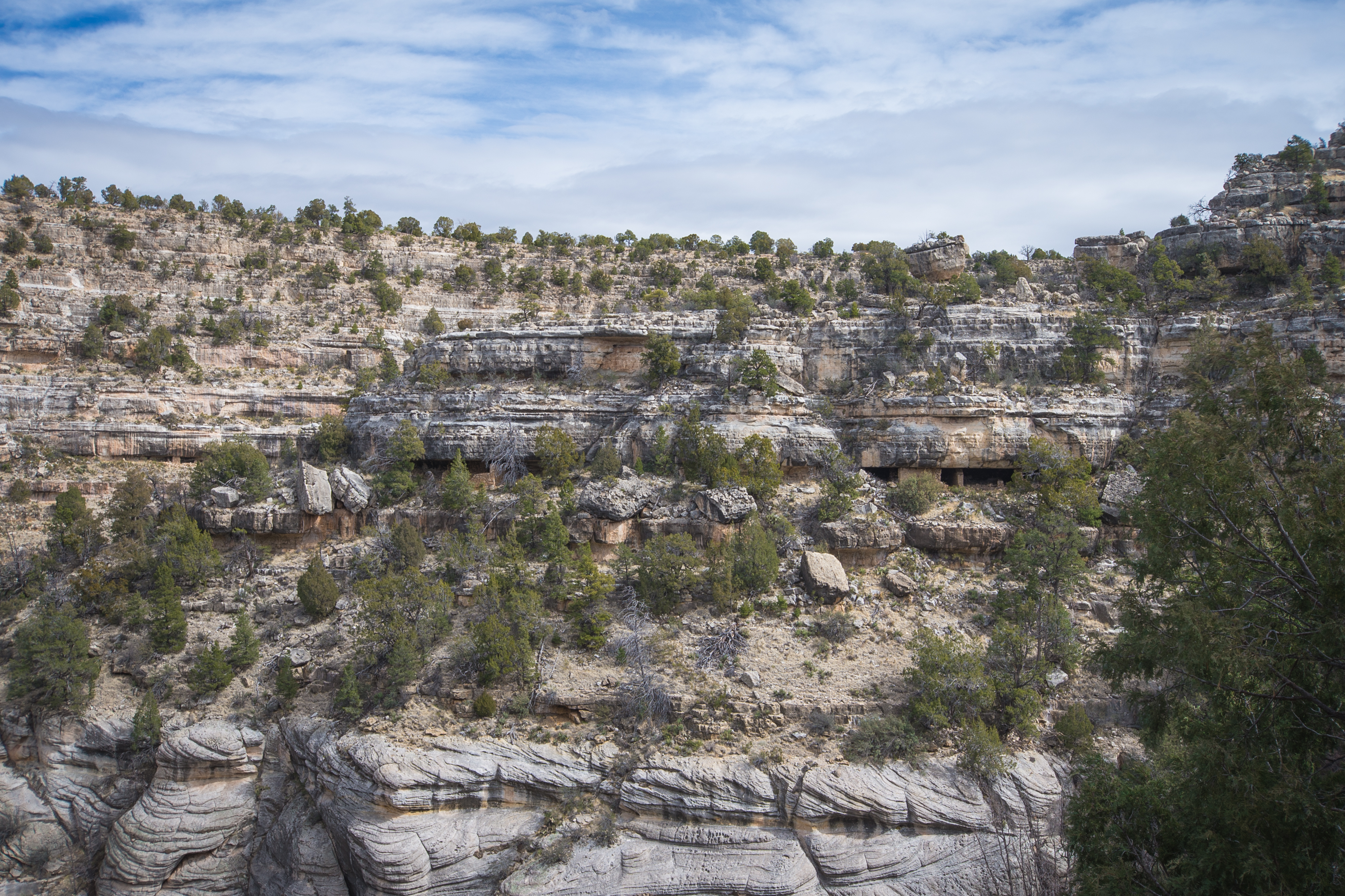 Hike the Island Trail, Walnut Canyon