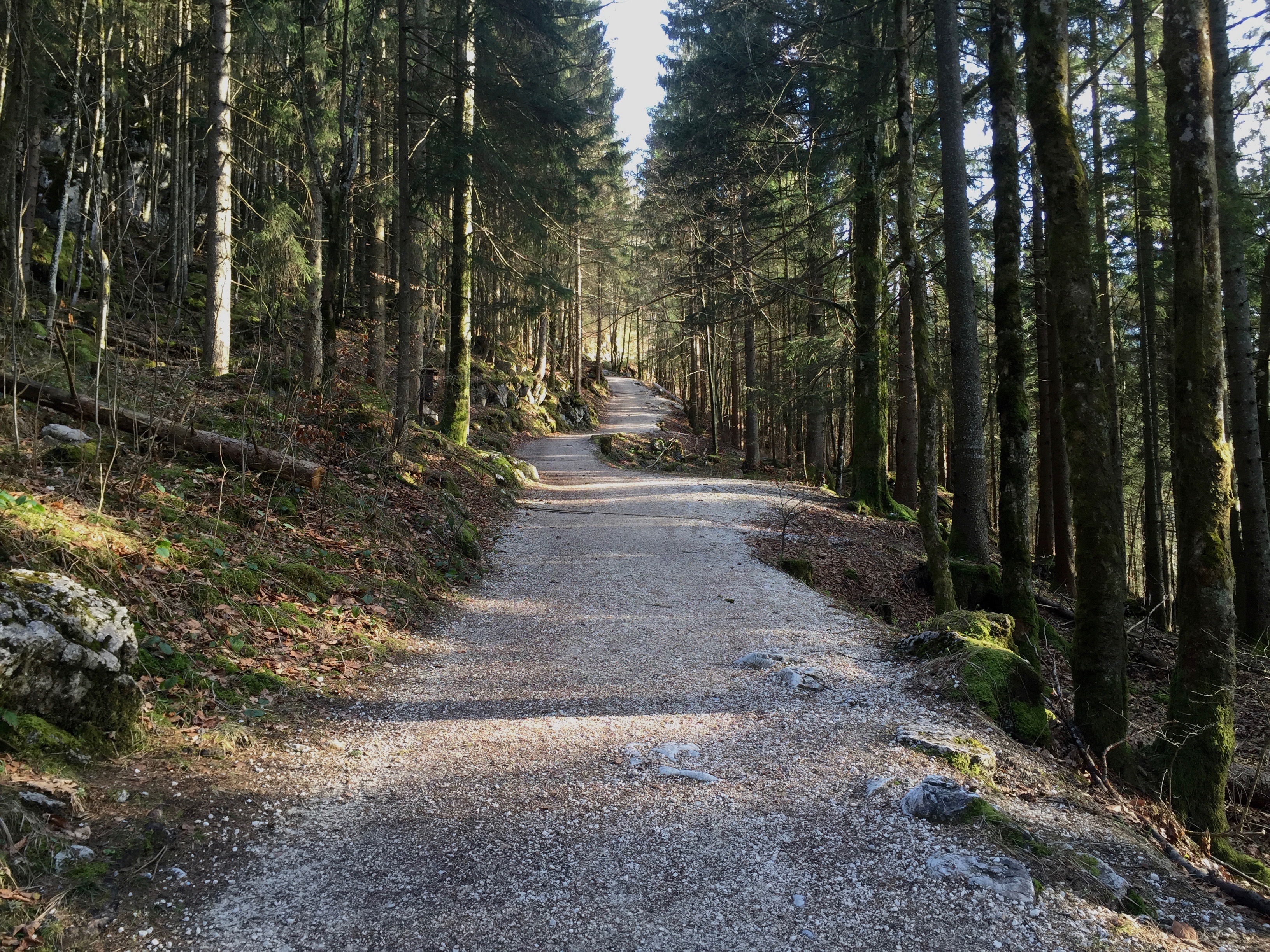 Hike Halsam in Berchtesgaden National Park