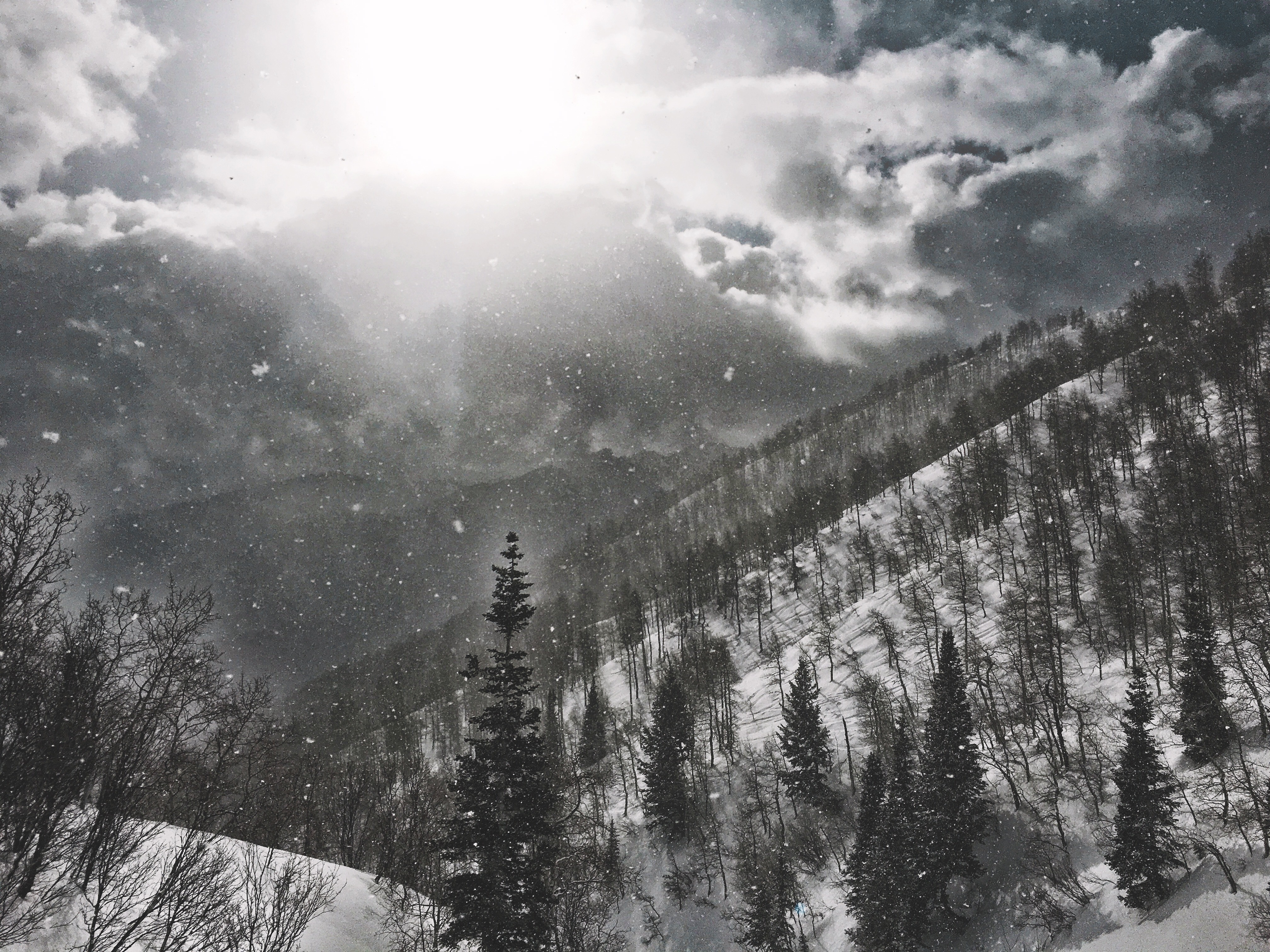 Backcountry Ski Butler Fork