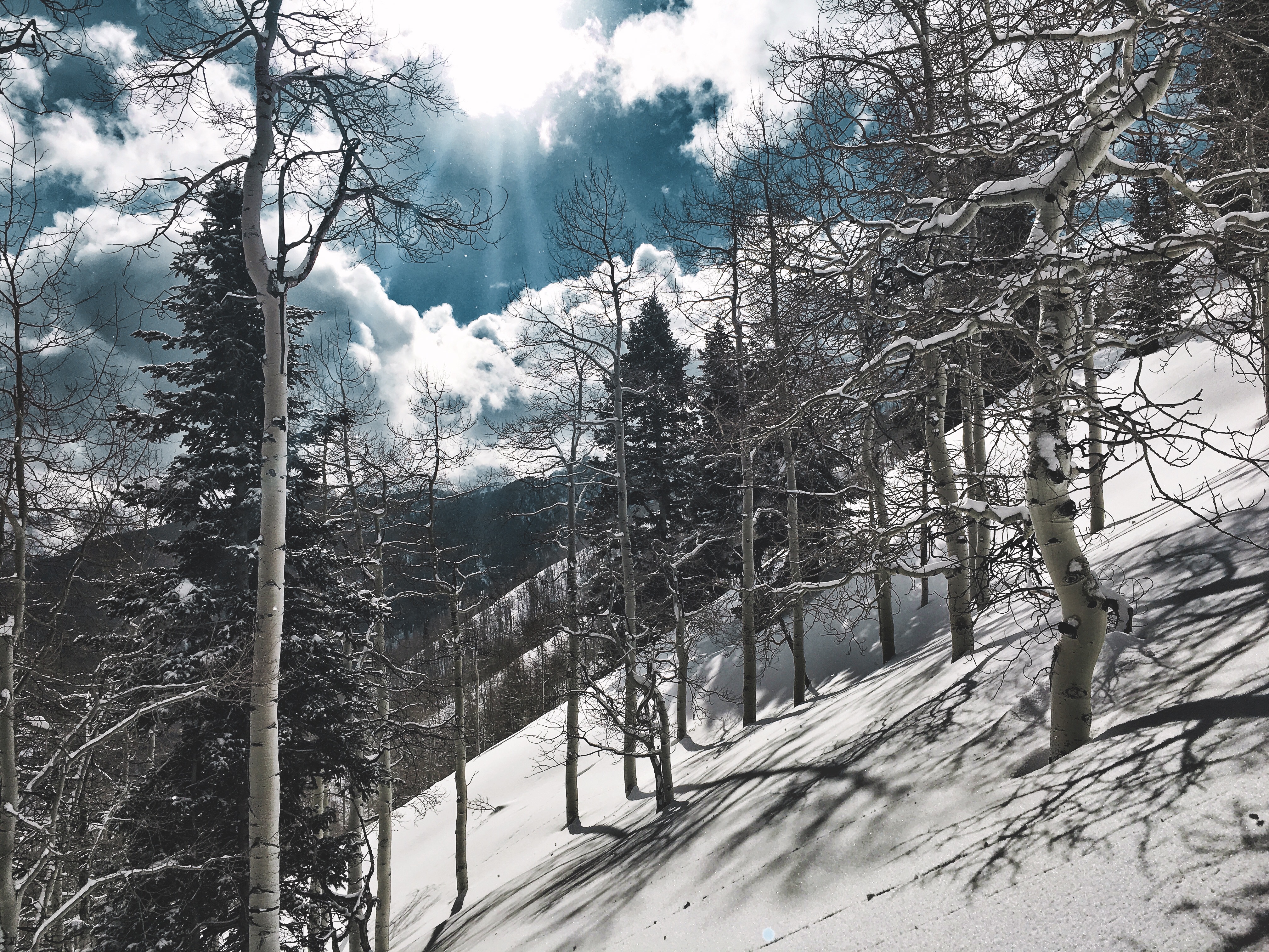 Backcountry Ski Butler Fork