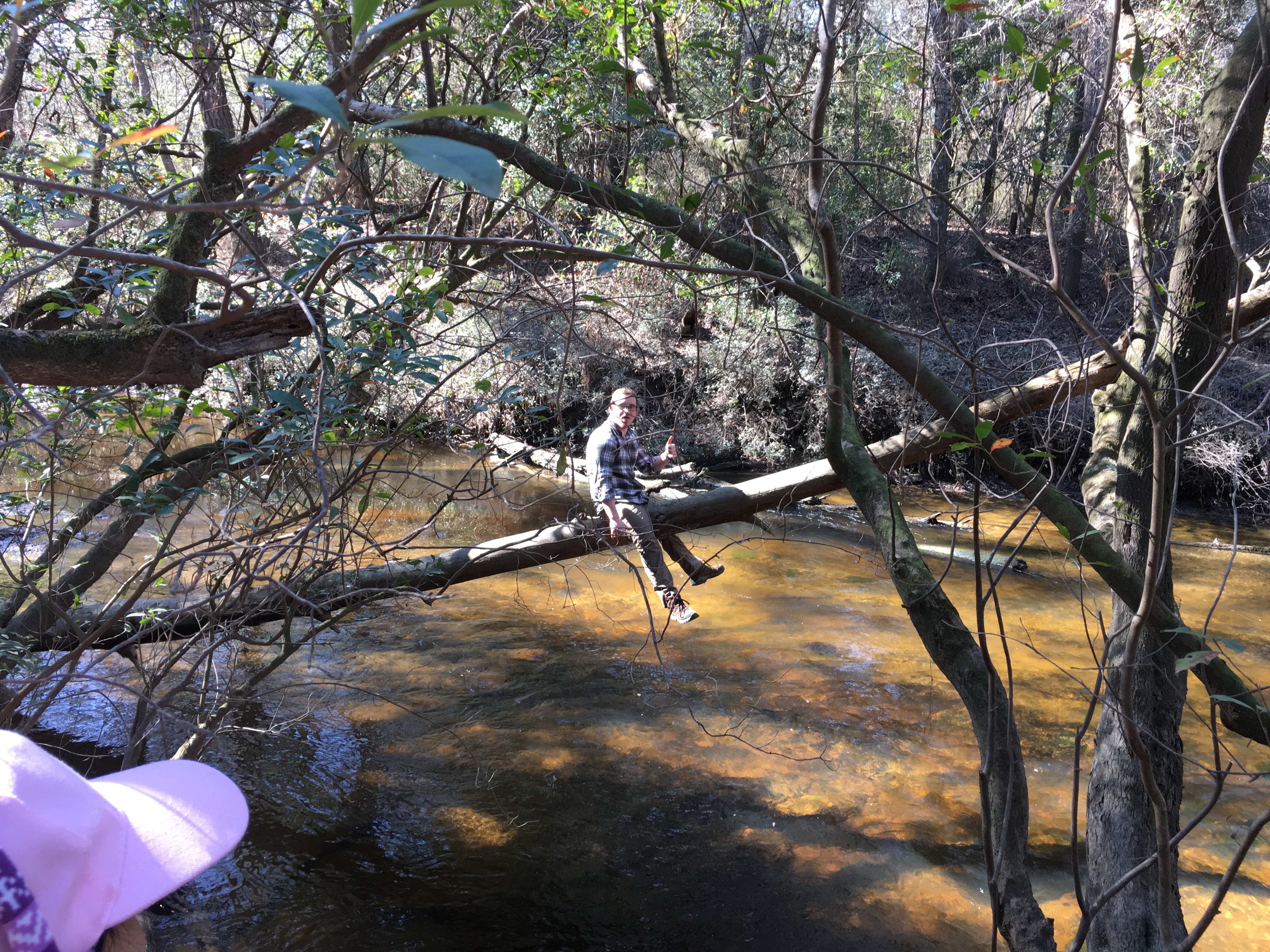 Hike Beaverdam Creek