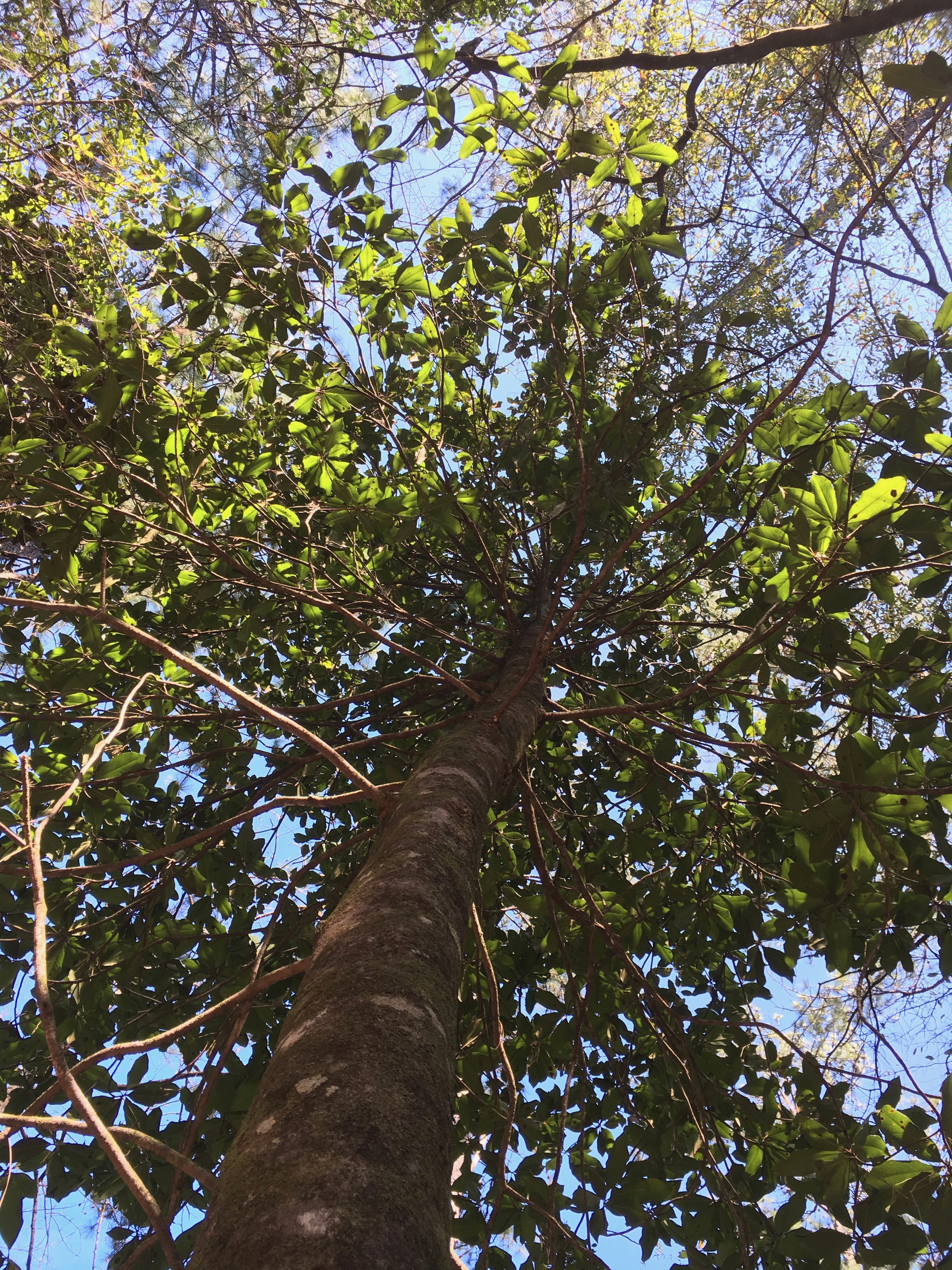 Hike Beaverdam Creek