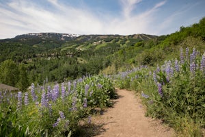 Hike to Spiral Point (Yin Yang), Snowmass