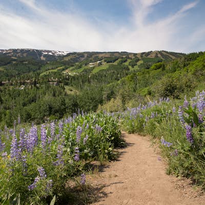 Hike to Spiral Point (Yin Yang), Snowmass