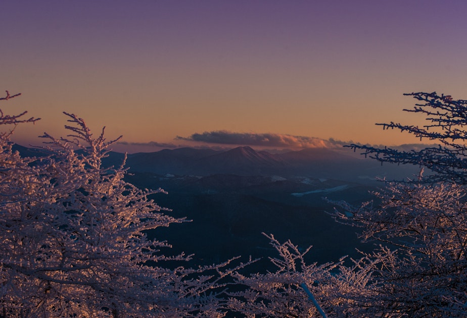 Whitetop Mountain Virginia's Overlooked Peak That Should Be on Your