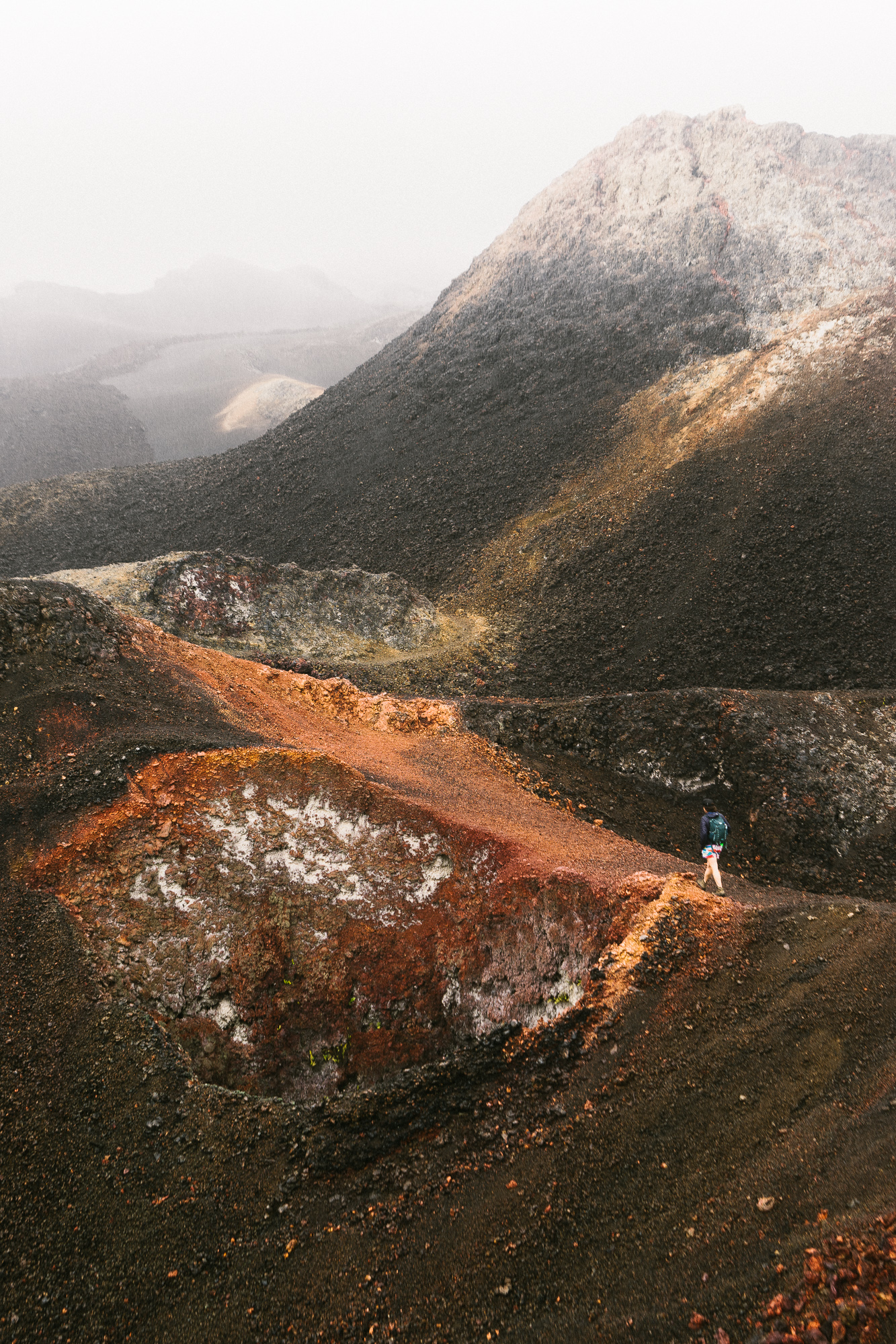 Hike Sierra Negra and Volcan Chico