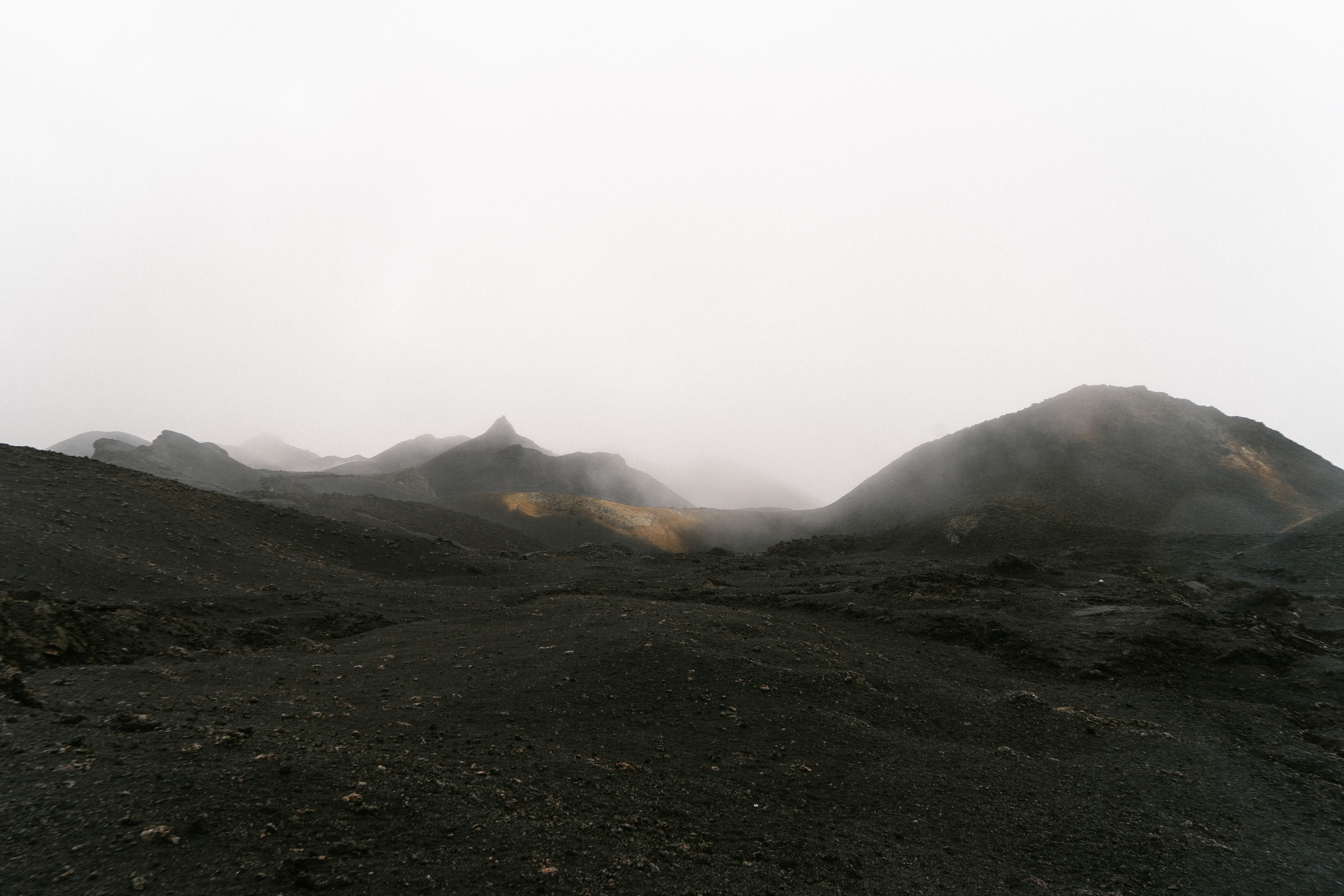 Hike Sierra Negra and Volcan Chico