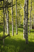 Hike the Mayfly Trail, Snowmass