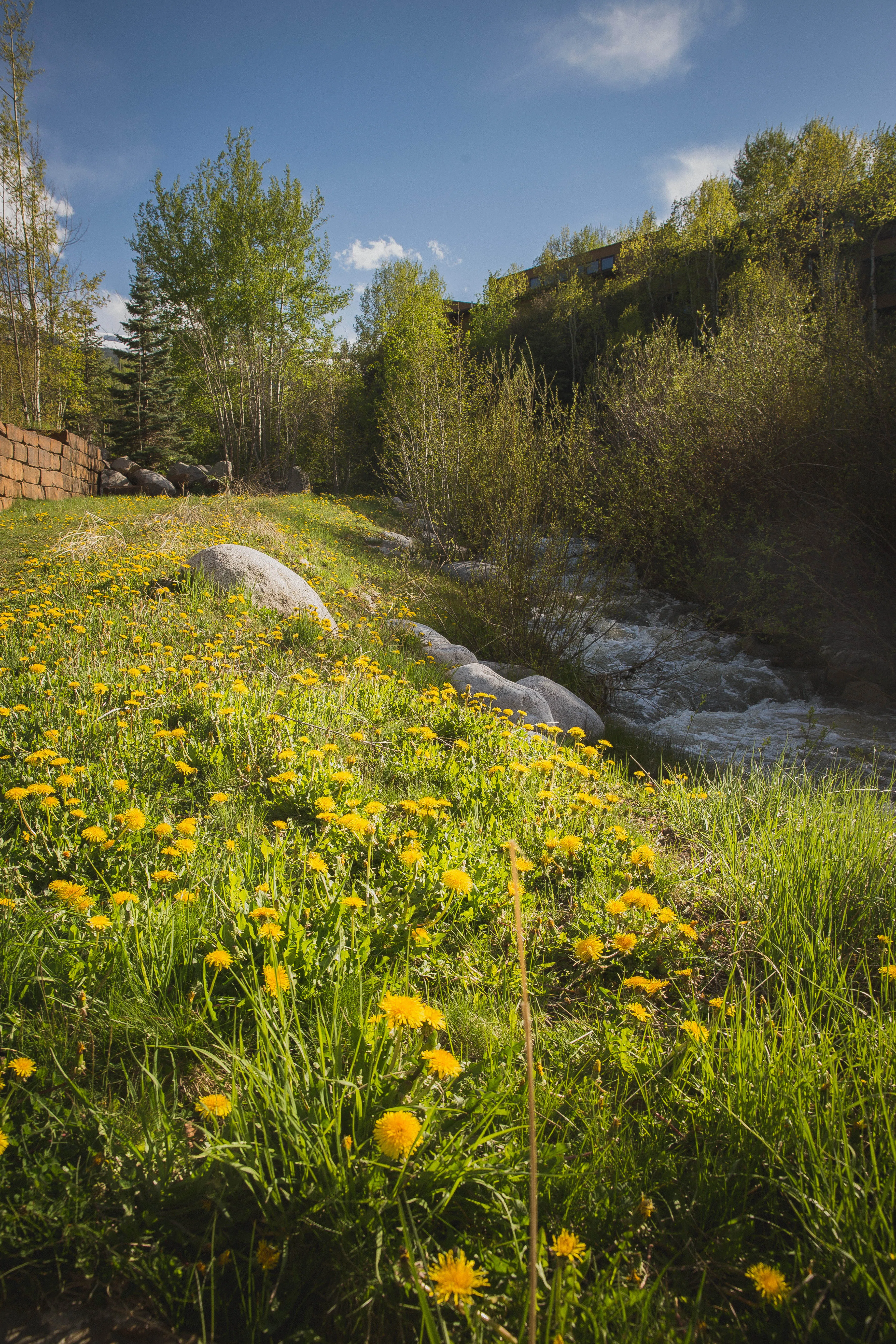 Hike the Mayfly Trail, Snowmass