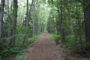 Hike the Bridle Path through the Madelyn Marx Preserve