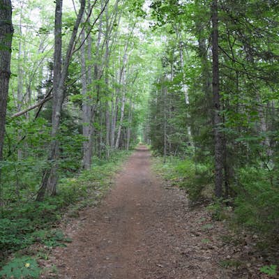 Hike the Bridle Path through the Madelyn Marx Preserve