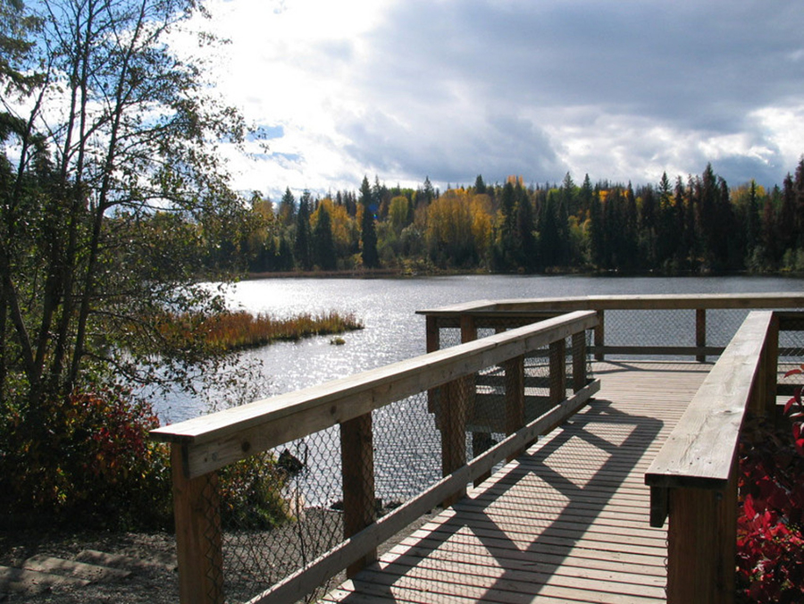 Take a Stroll Around Shane Lake