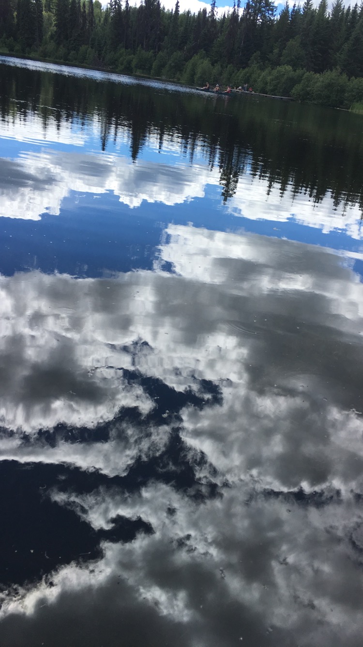Take a Stroll Around Shane Lake
