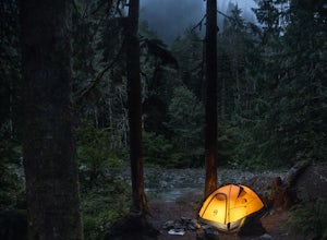 Dispersed Camp near Beaver Creek Group Camp, Mt. Baker Snoqualmie NF