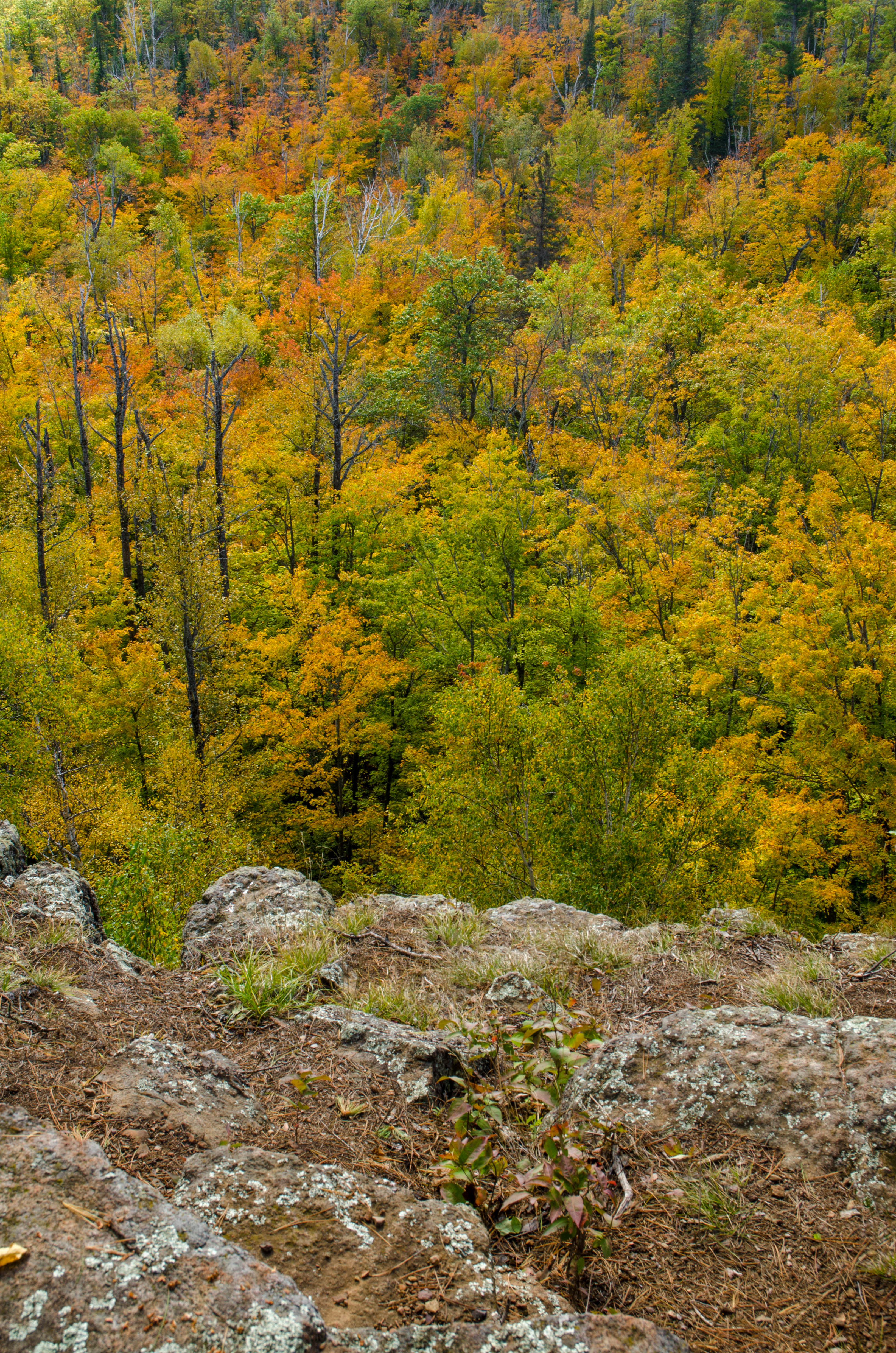 Tettegouche Lake Overlook