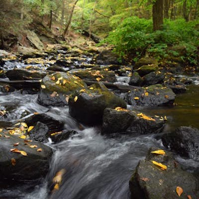 Hike the Cotton Hollow Nature Preserve
