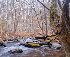 Hike the Cotton Hollow Nature Preserve