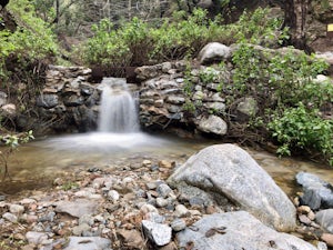 Millard Falls