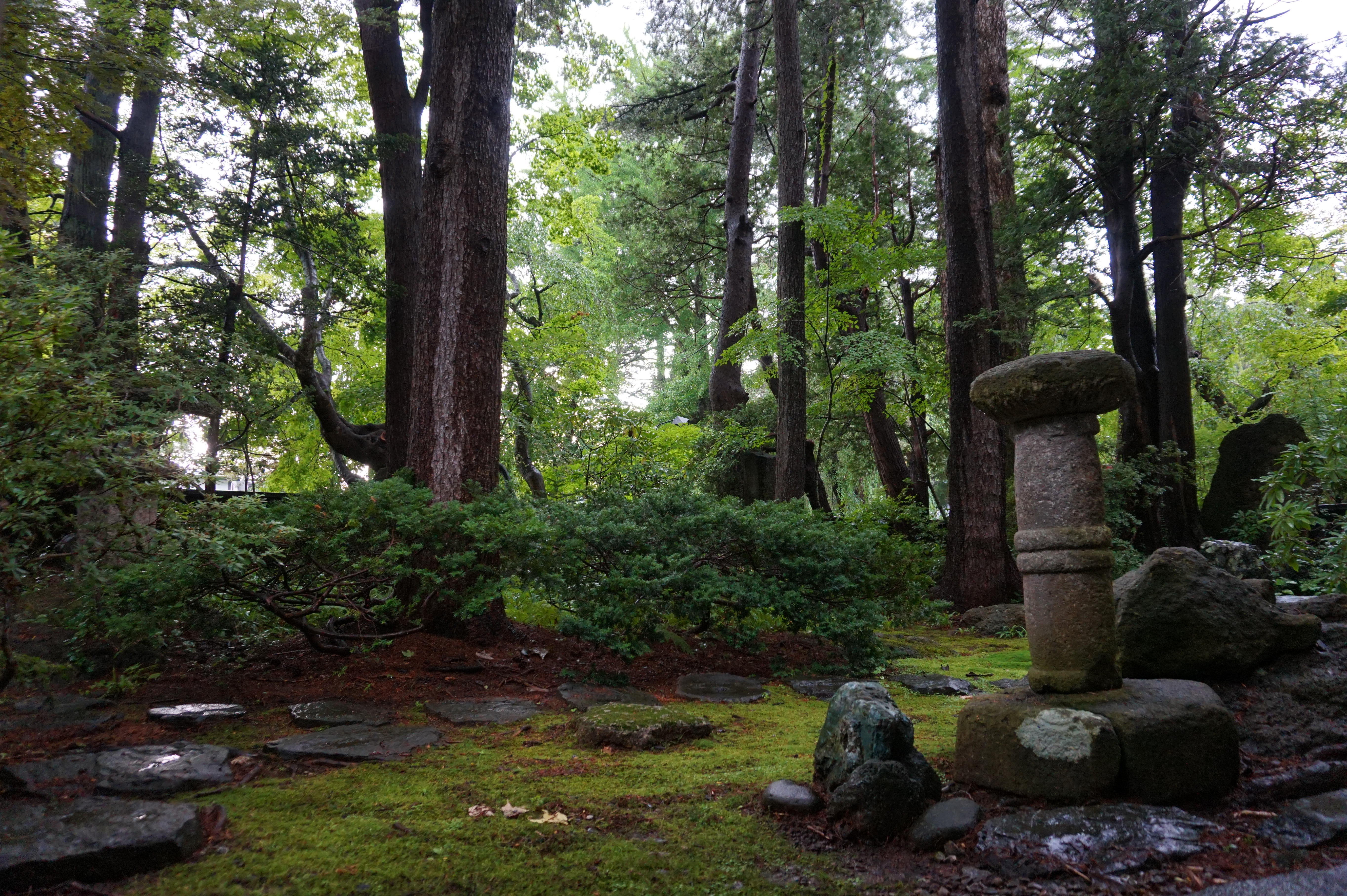 Explore Kakunodate Samurai Town
