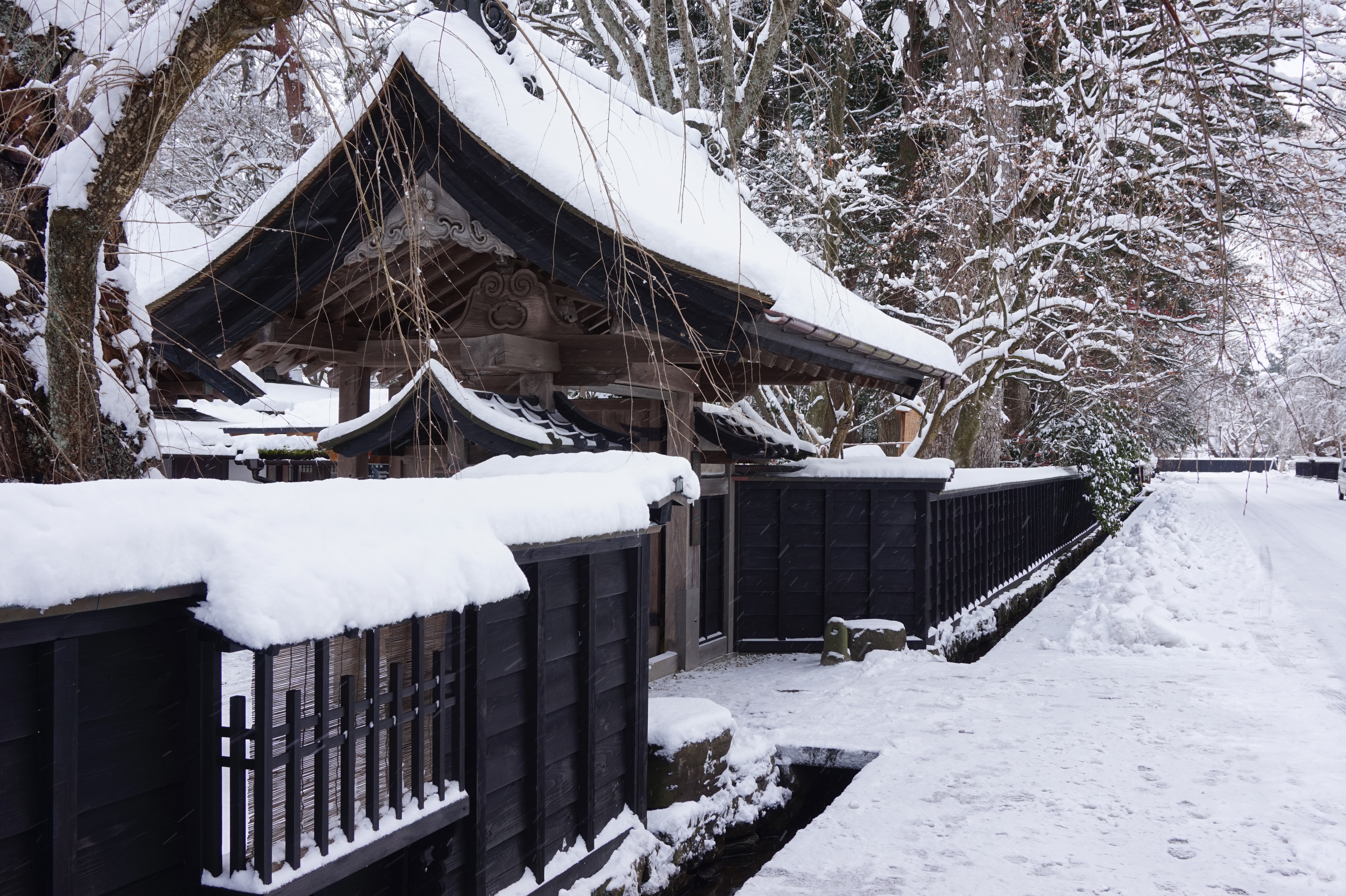 Explore Kakunodate Samurai Town