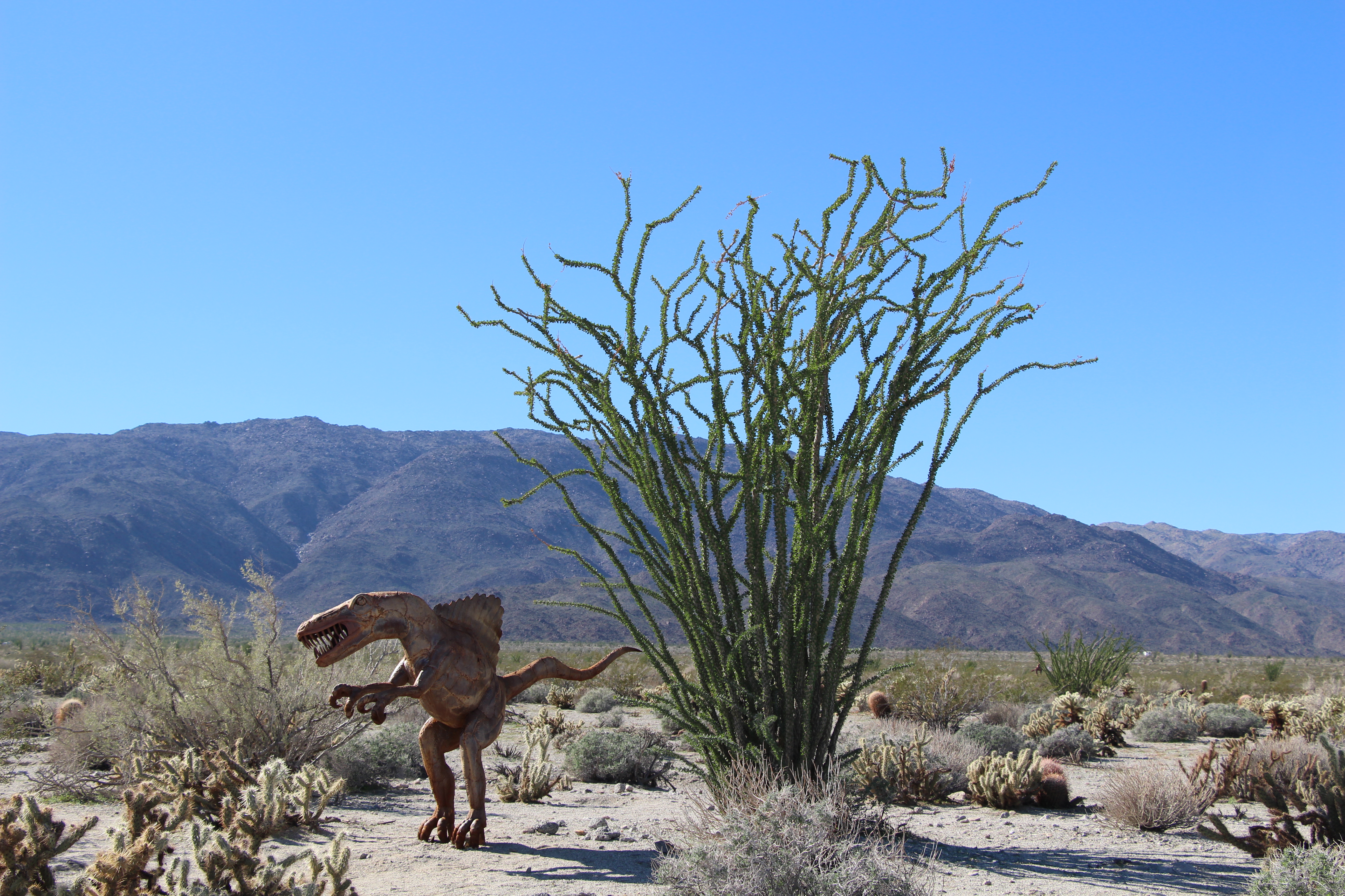 Anza Borrego Metal Sculptures