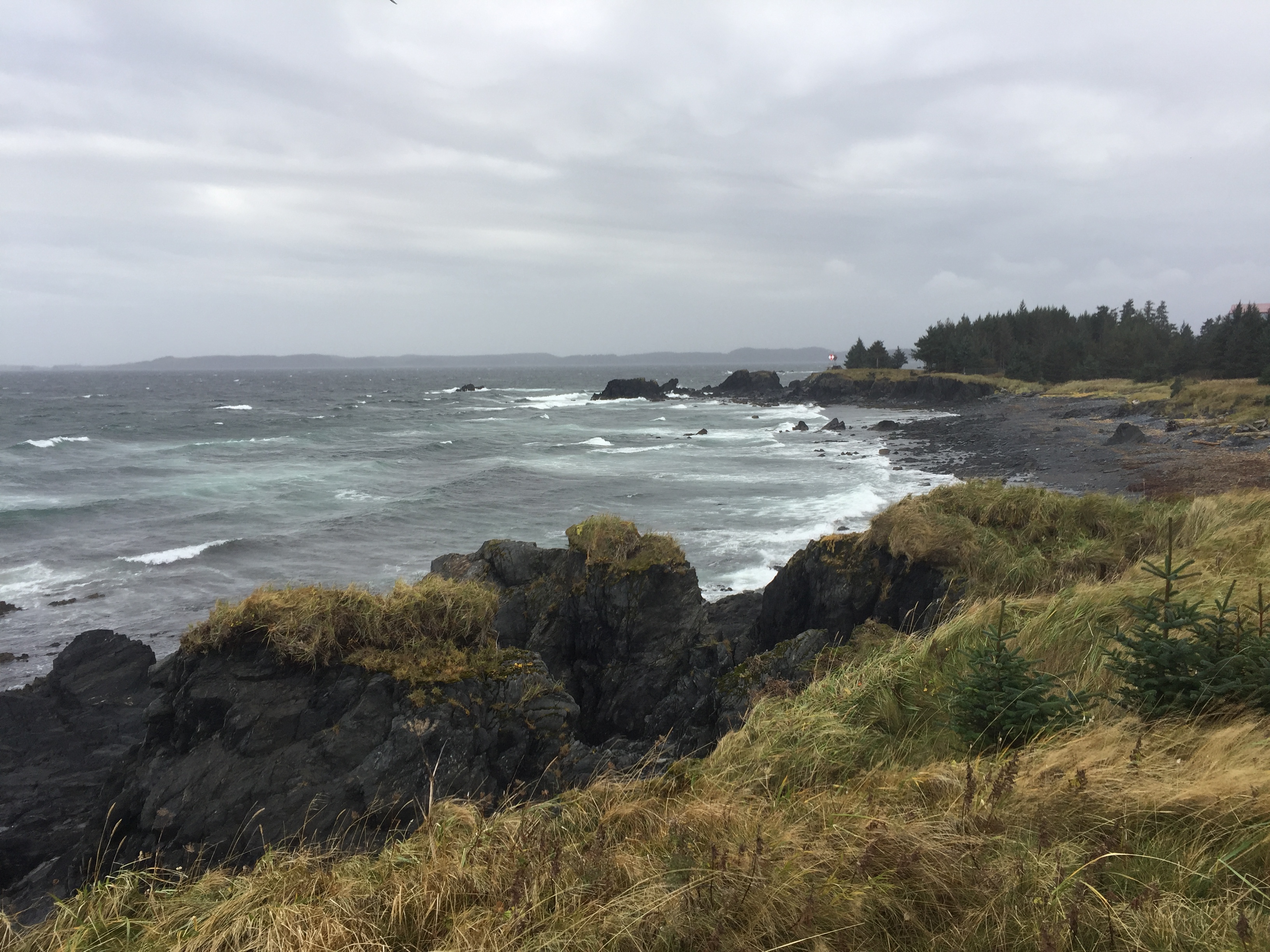 Hike Spruce Cape