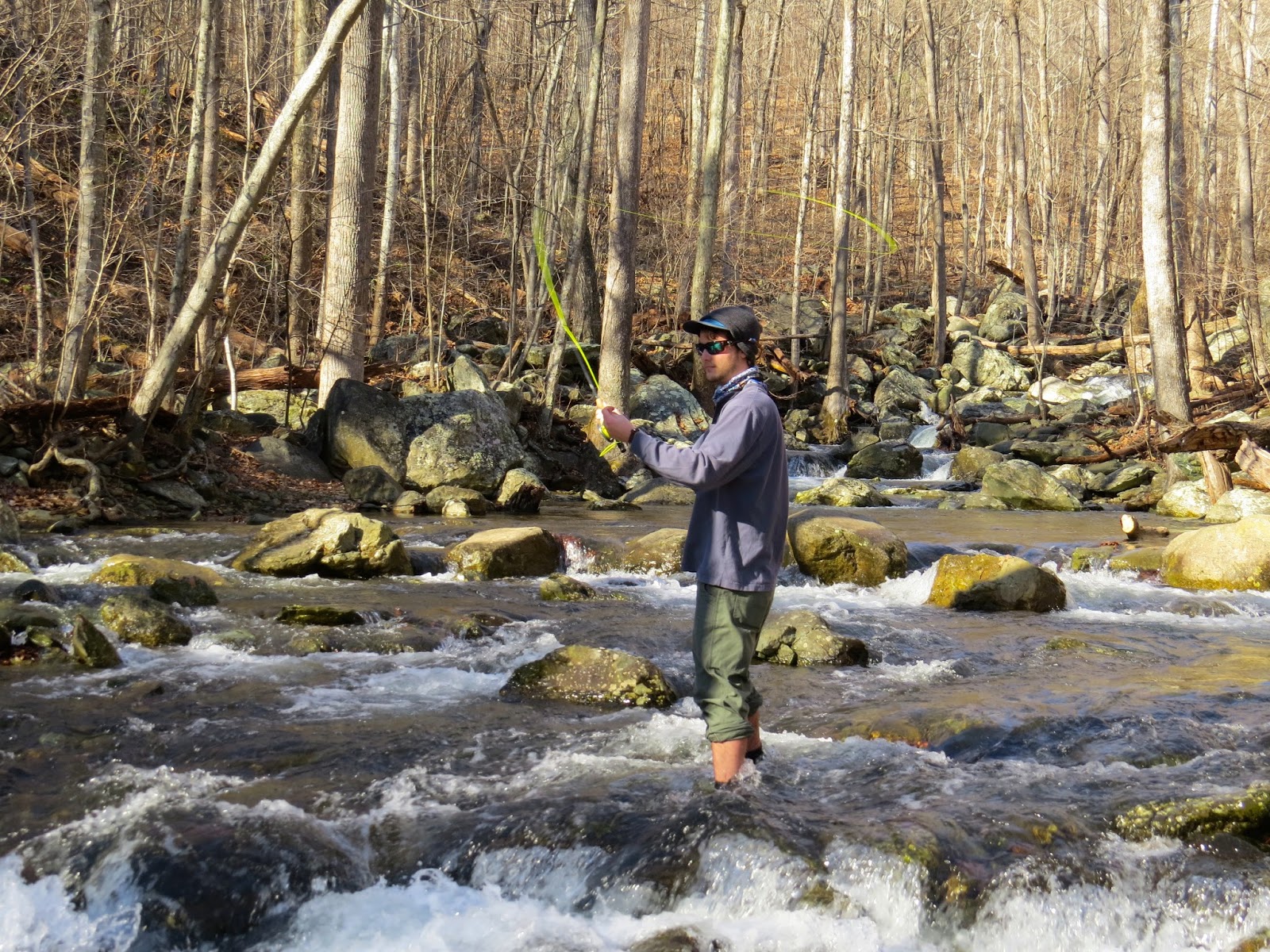 Fly Fish on the Robinson River
