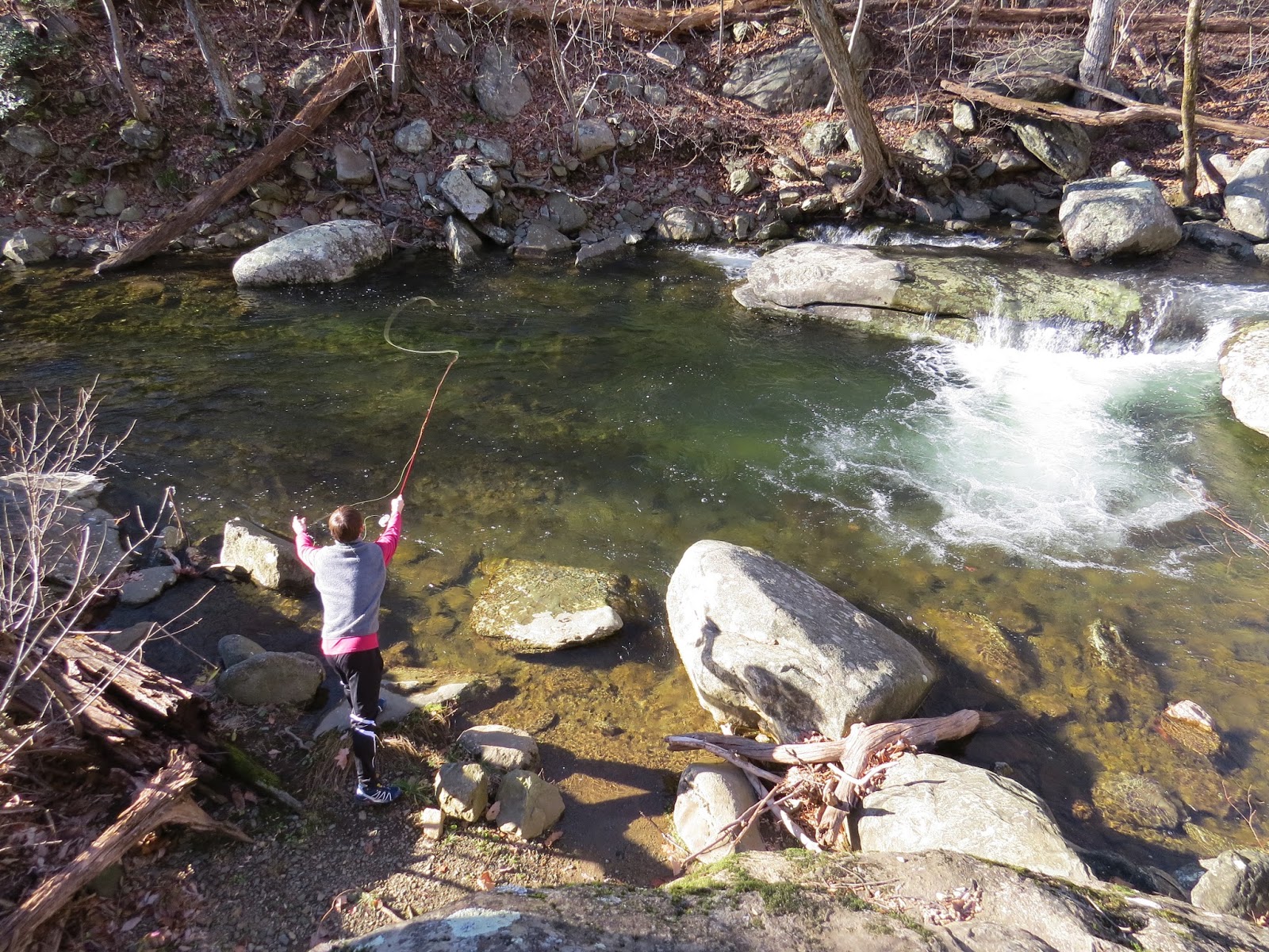 Fly Fish on the Robinson River