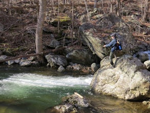 Fly Fish on the Robinson River