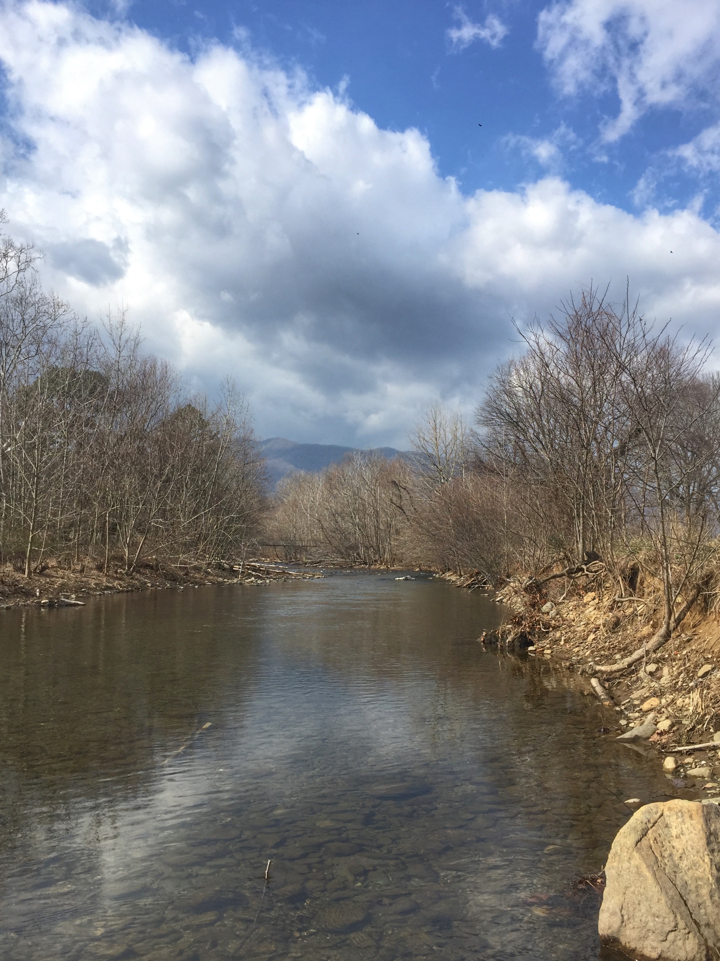 Fly Fish on the Robinson River