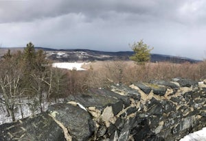 Hike the Mount Tom Tower Trail