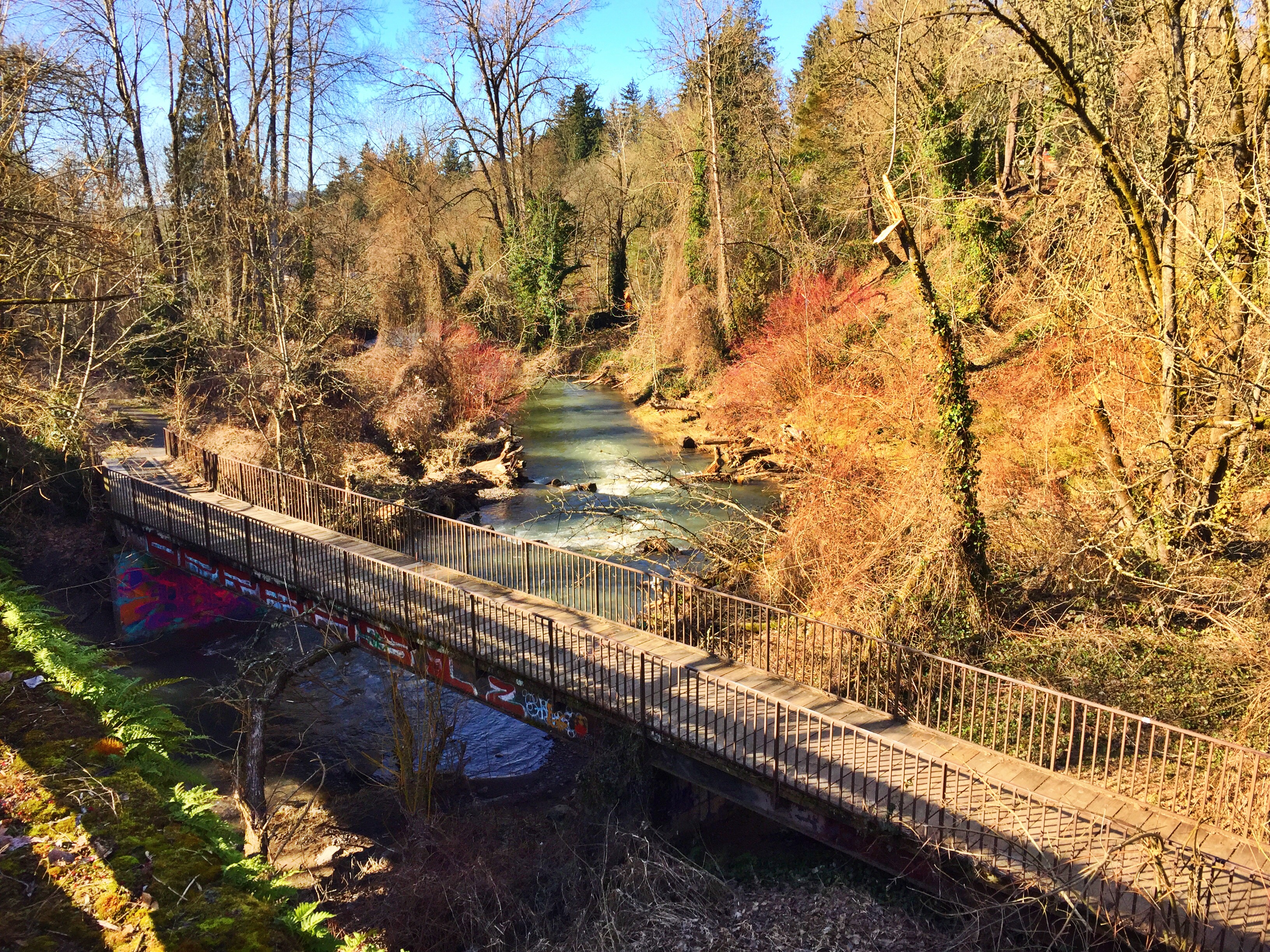 Run Springwater Corridor Trail