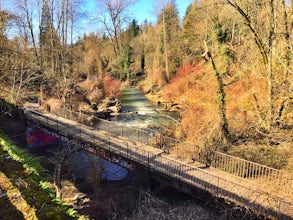 Run Springwater Corridor Trail