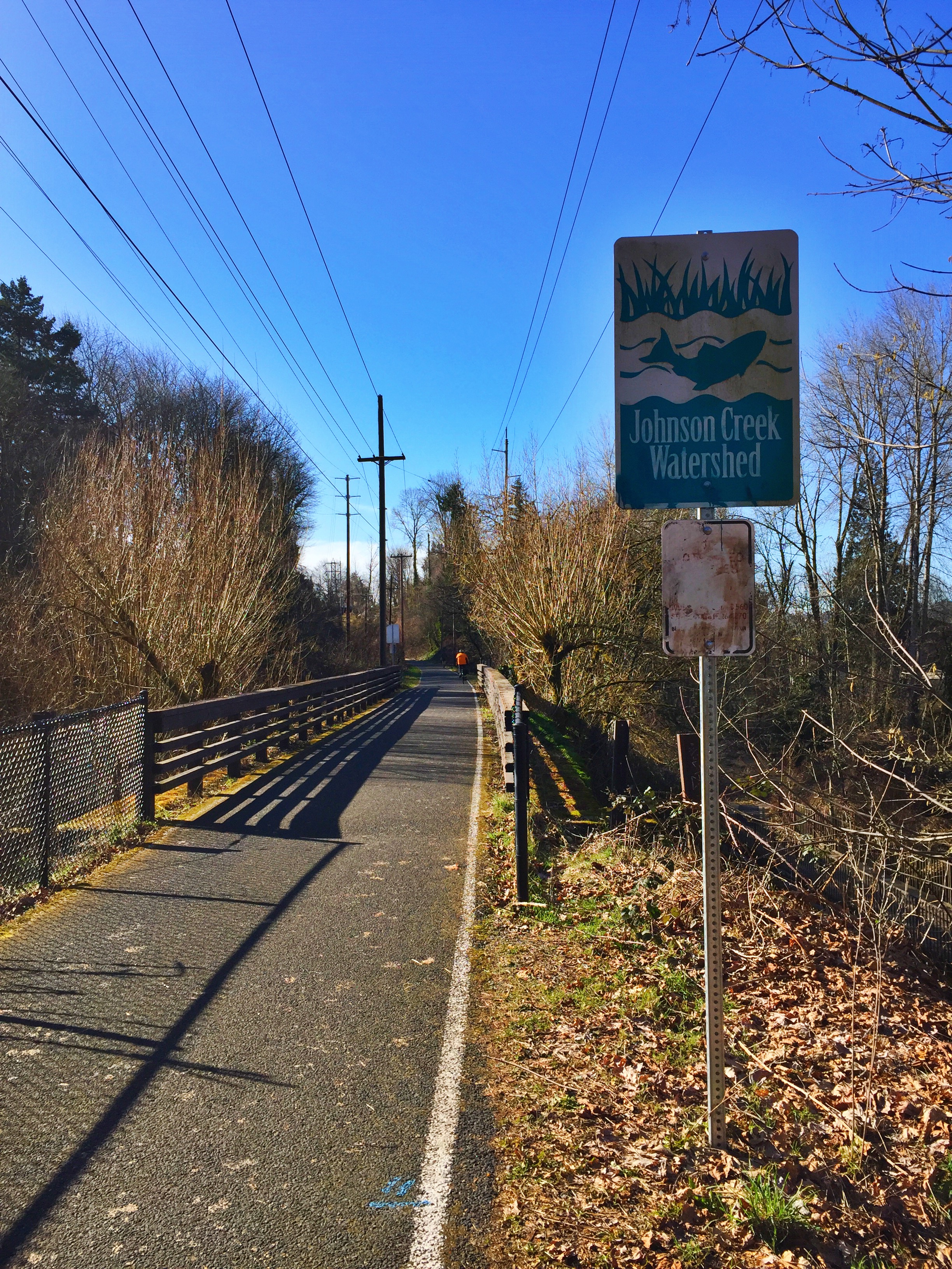 Run Springwater Corridor Trail