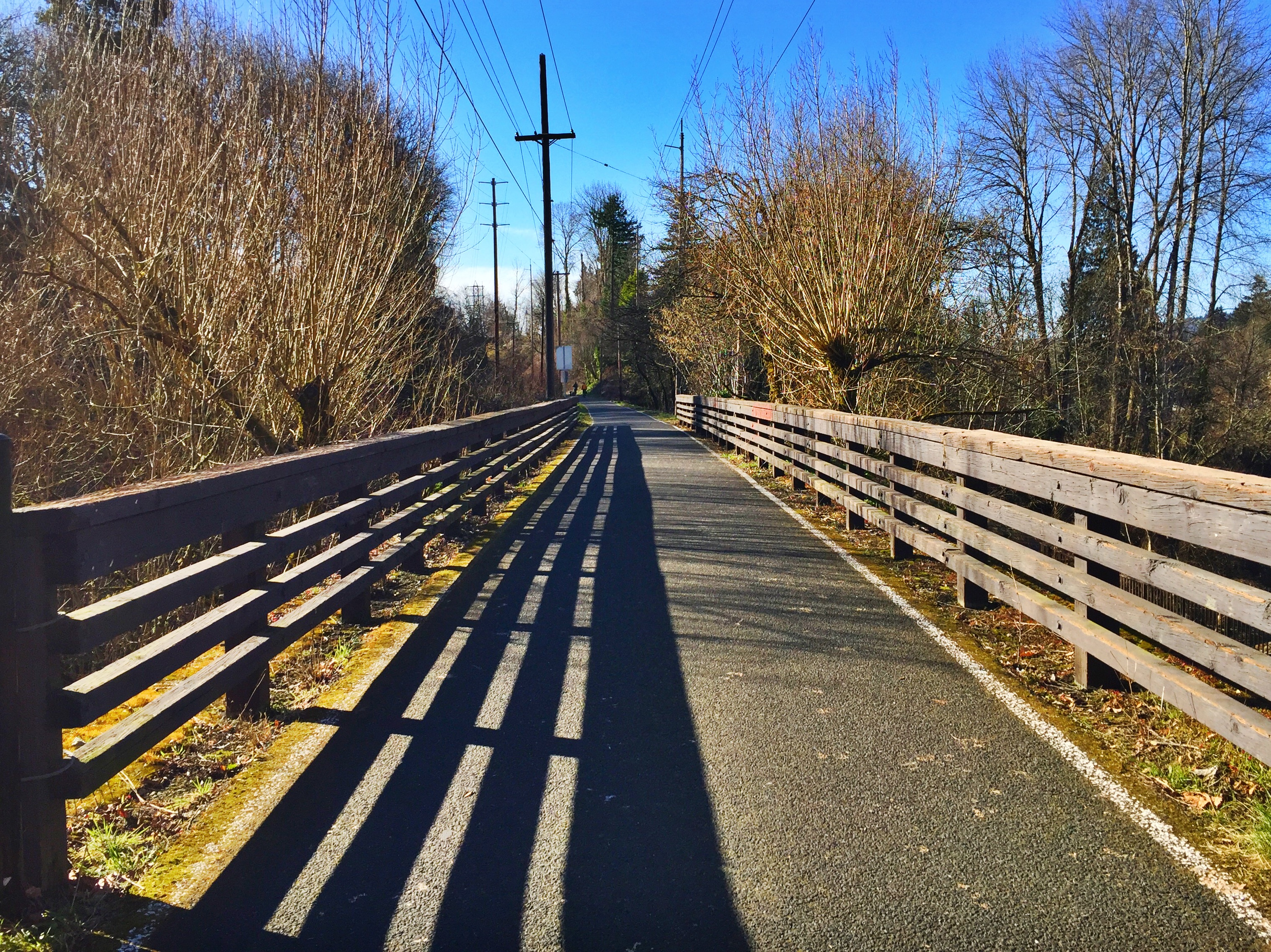 Run Springwater Corridor Trail