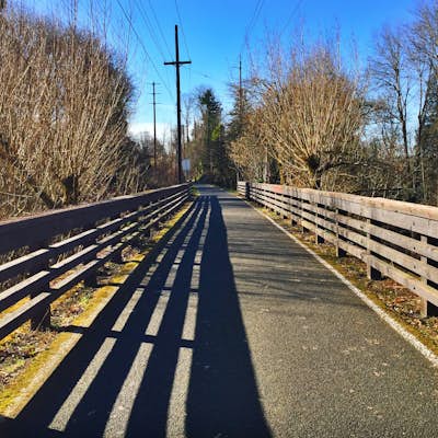 Run Springwater Corridor Trail