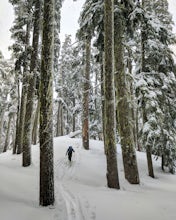 Ski Tour or Snowshoe Kendall Knob 