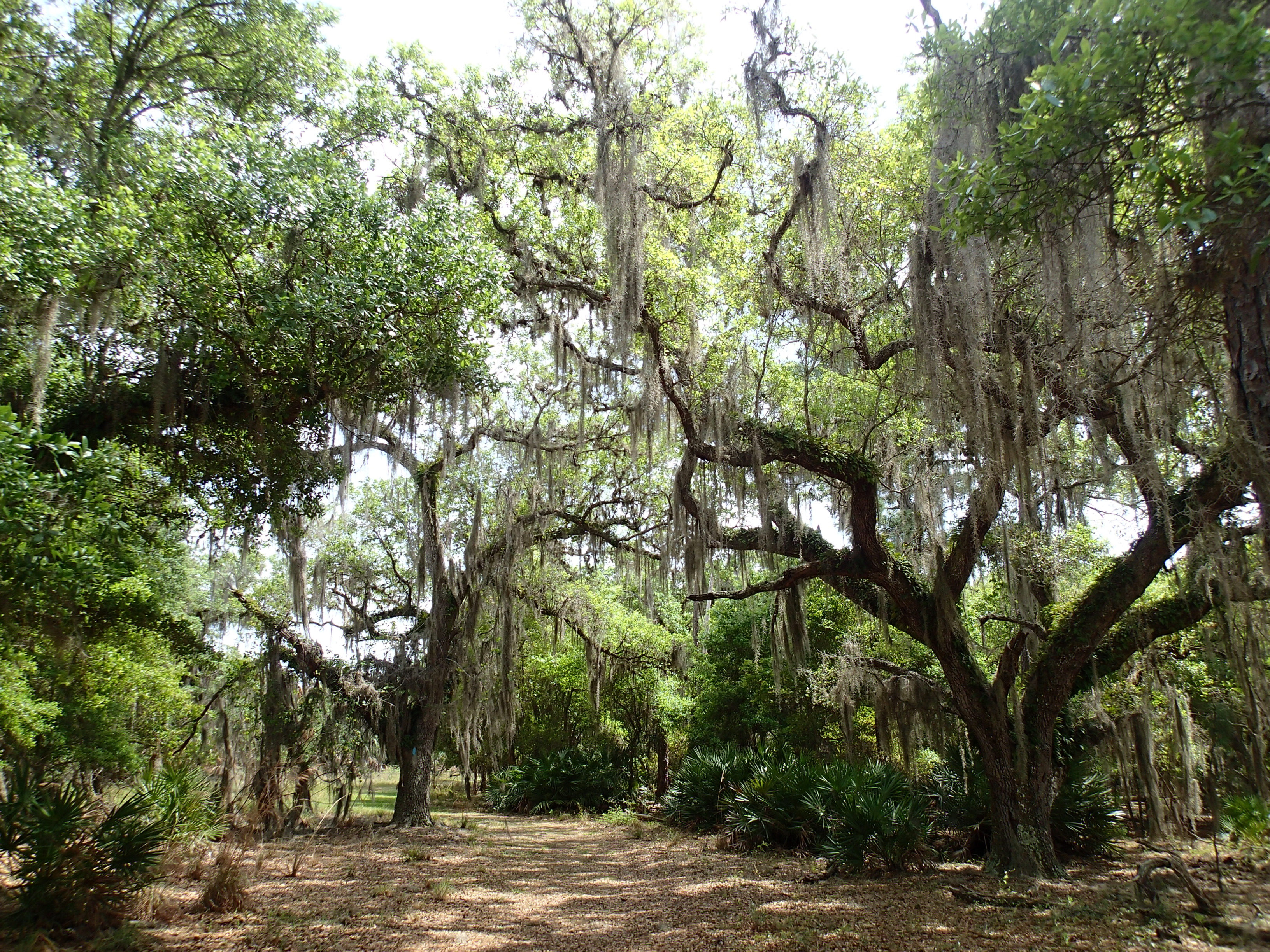 Hike the Gobbler Ridge Trail