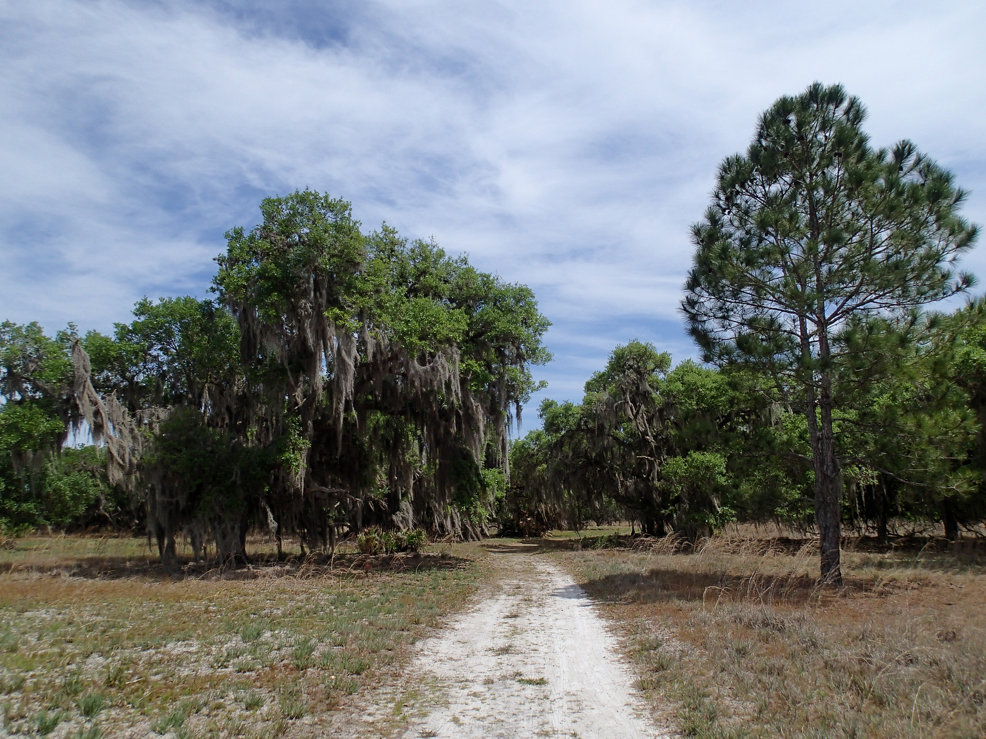 Hike the Gobbler Ridge Trail